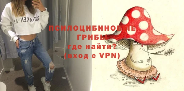амф Алексеевка