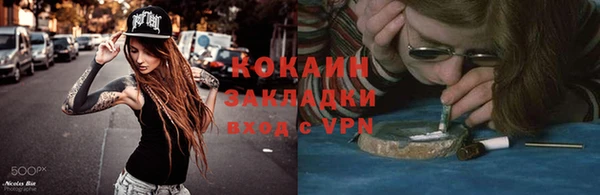 хмурый Алексин
