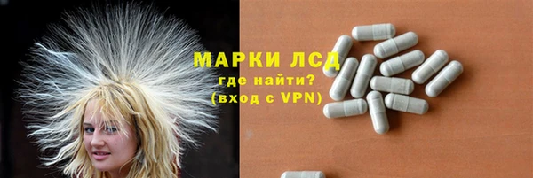 хмурый Алексин