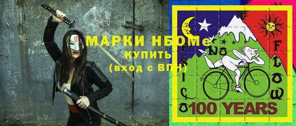 хмурый Алексин