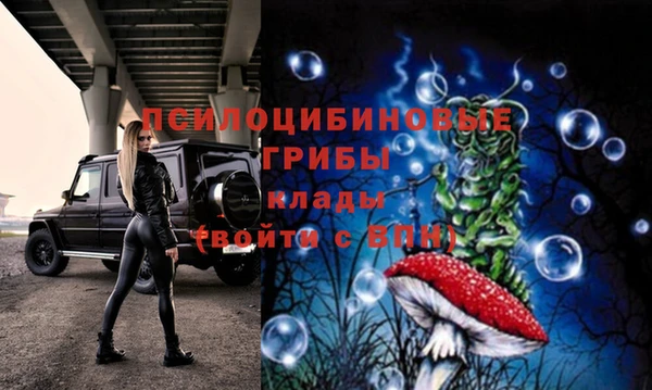 трава Алзамай