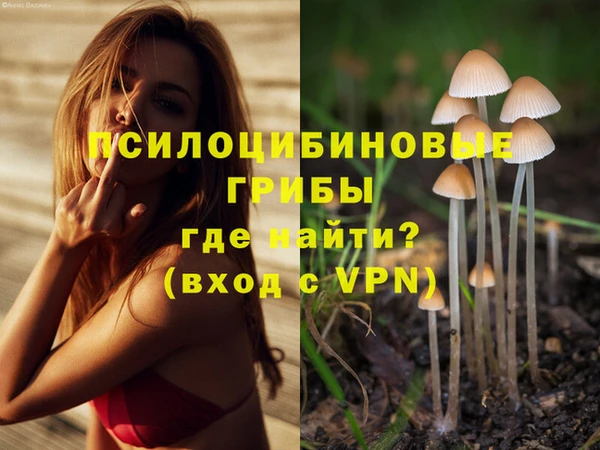 хмурый Алексин