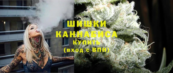 СК Саяногорск