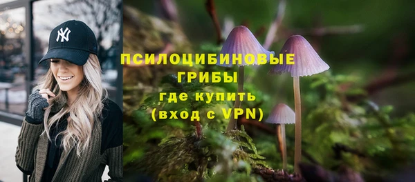 СК Саяногорск