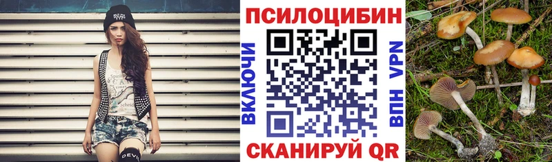 Псилоцибиновые грибы Magic Shrooms Закаменск